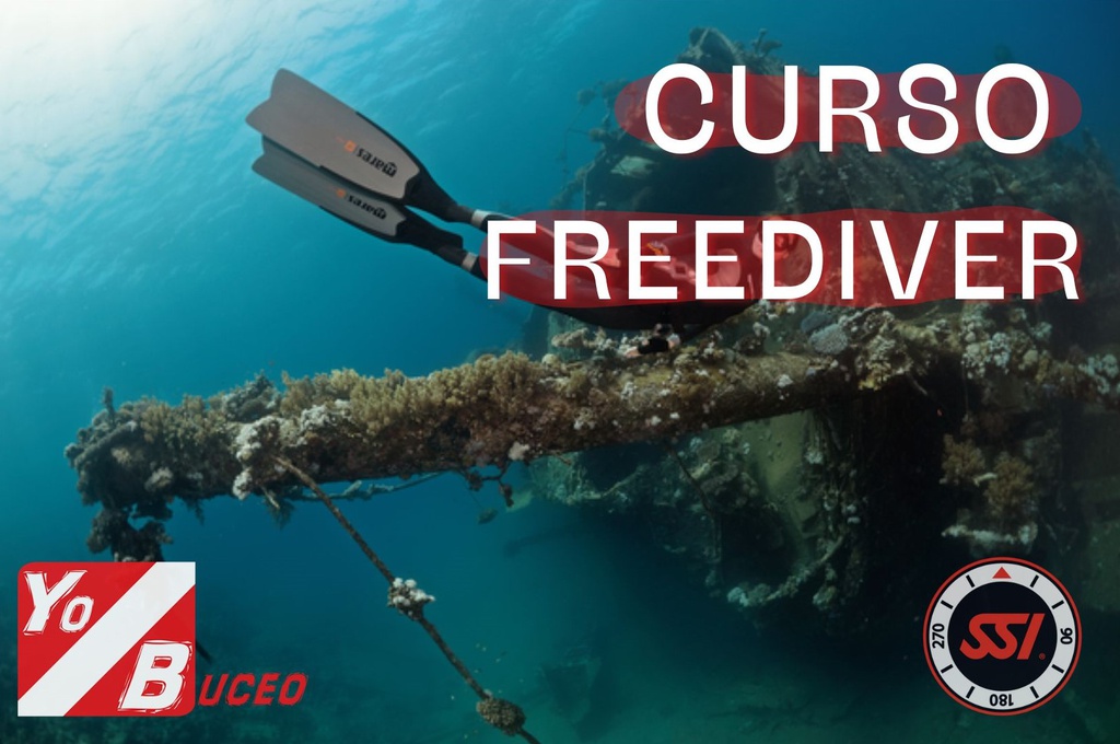 Curso Apnea SSI Nivel Freediver [SR]