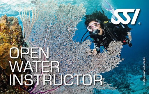 Curso Open Water Instructor SSI [SR]