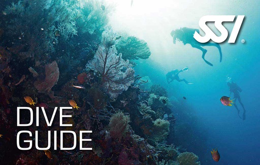 Curso Dive Guide SSI [SR]