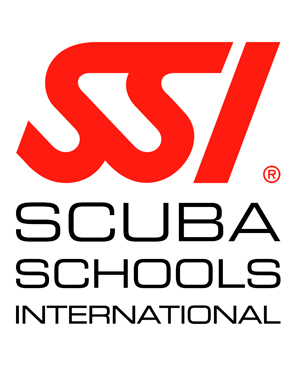 [93700582] Kit digital SSI Scuba Skills Update